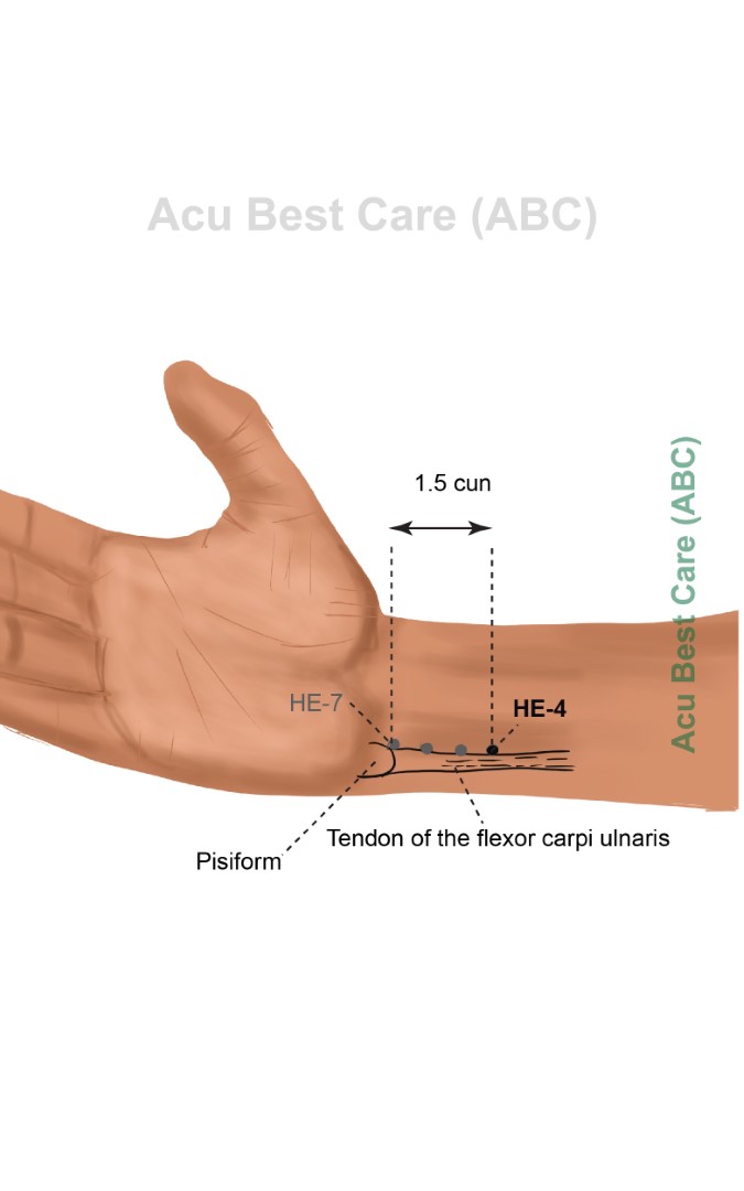 Acubestcare Meridian H-04 or HE-04